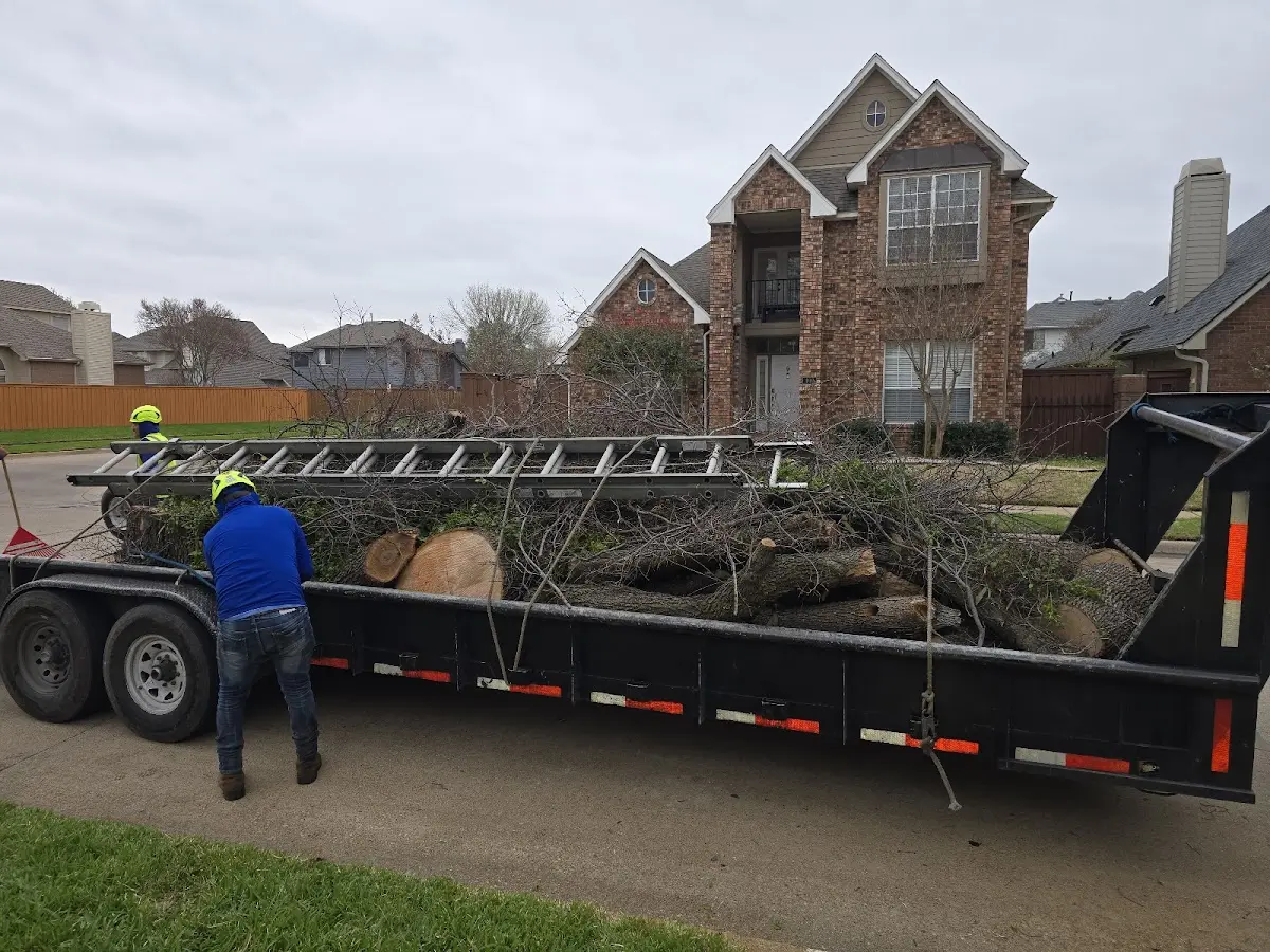 Expert Tree Removal with proper safety equipment in Mobile